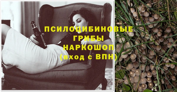 дживик Богданович