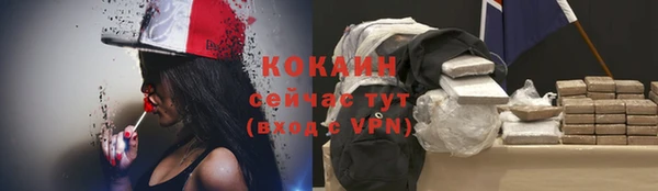 дживик Богданович