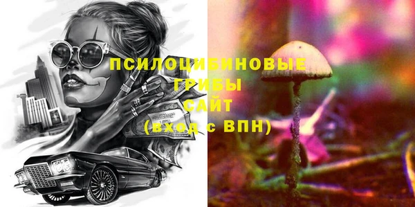 МДМА Богородицк